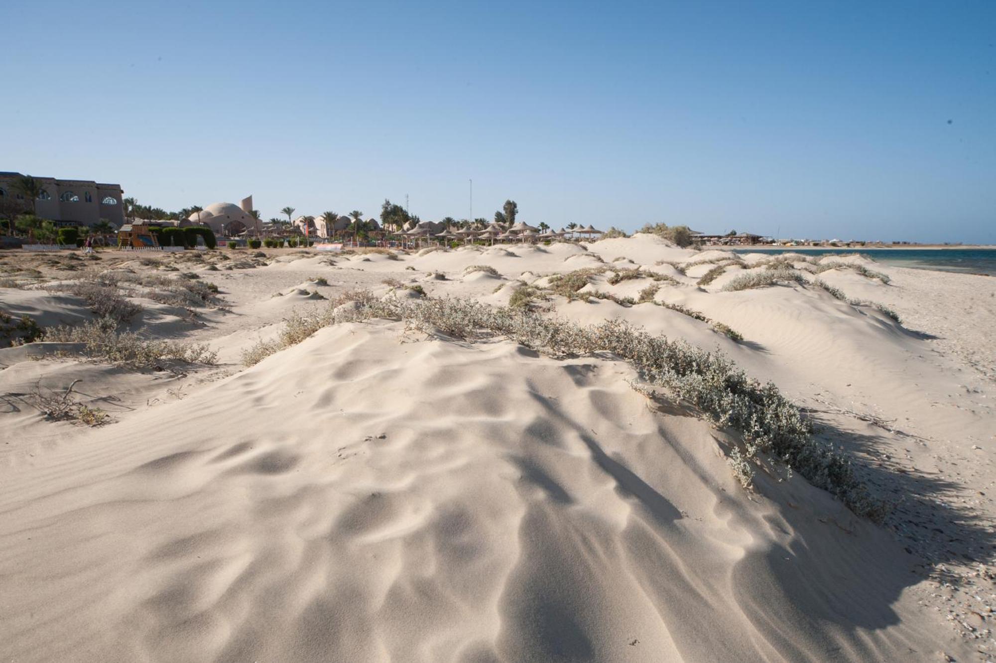 Shams Alam Beach Resort Abū Ghuşūn 외부 사진